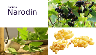 Narodin - eine Heilpflanzen-Rezeptur bei Morbus Basedow